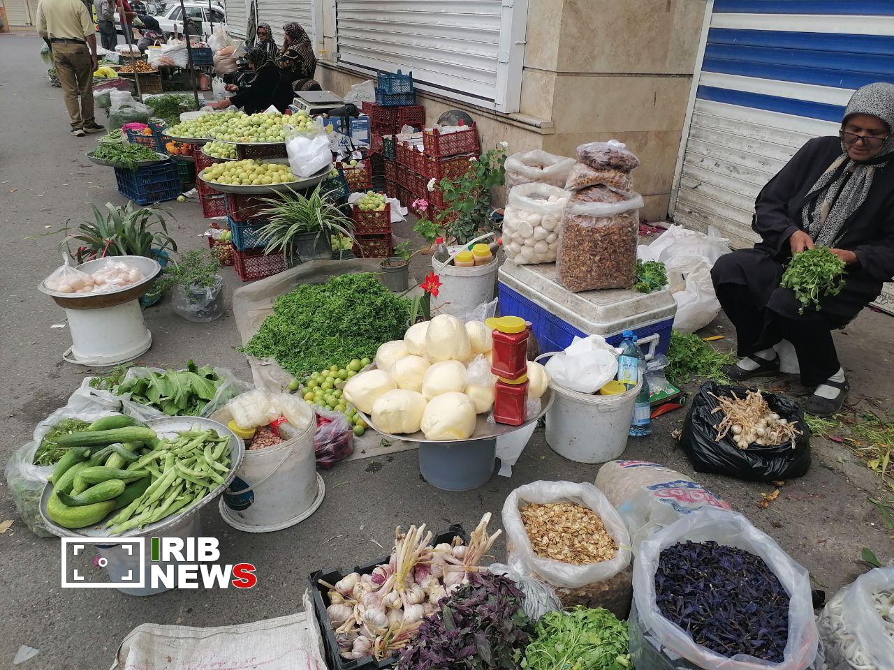 نسیم گیلان