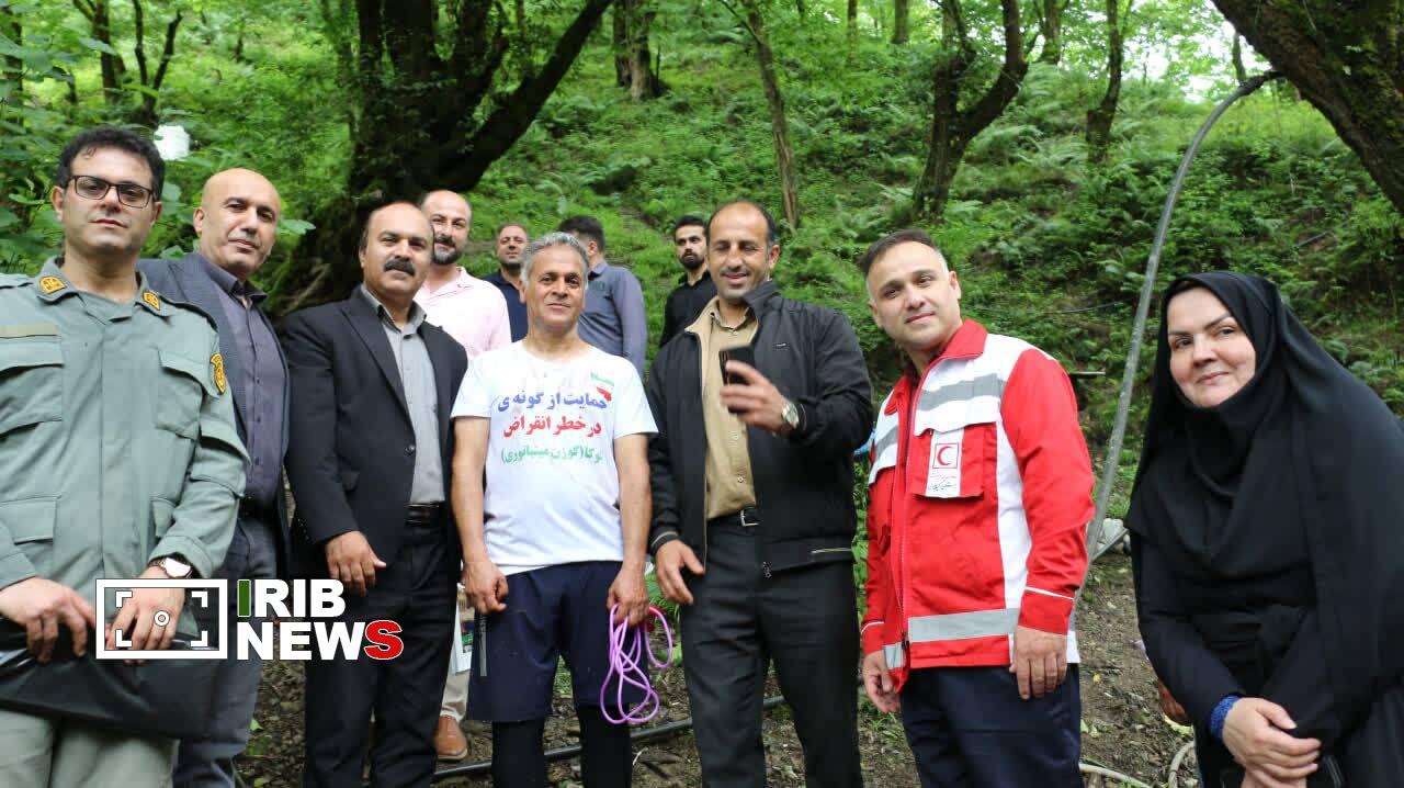 نسیم گیلان