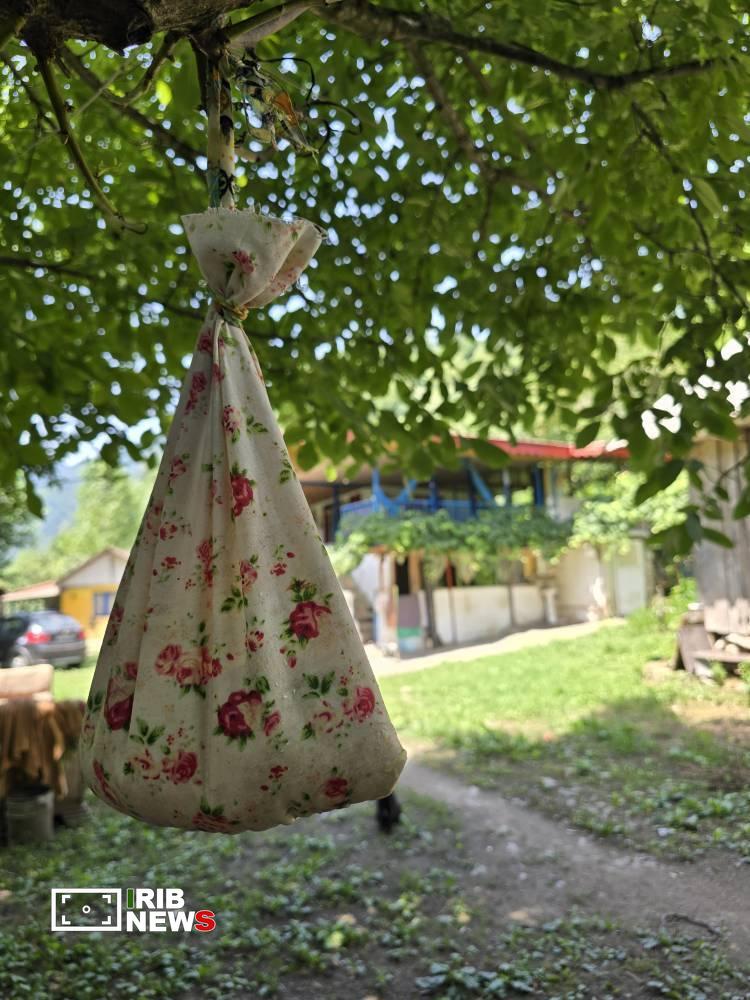 نسیم گیلان