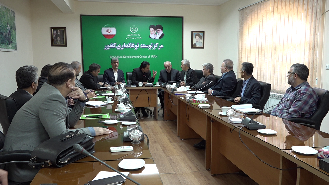 نسیم گیلان