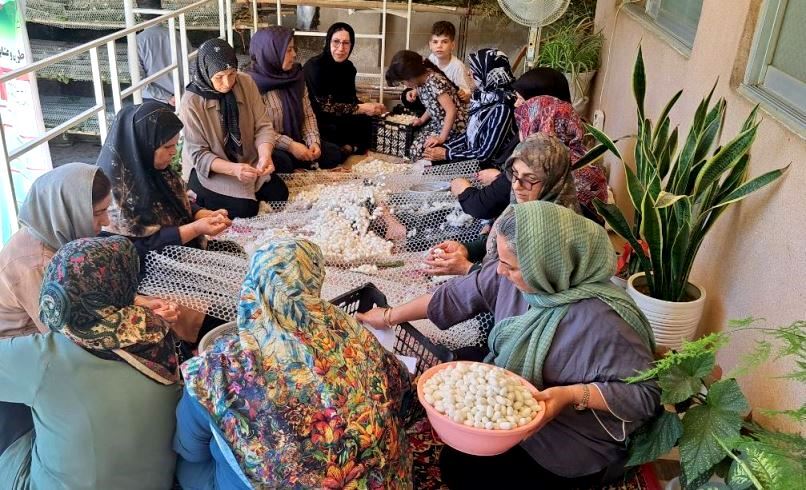 نسیم گیلان