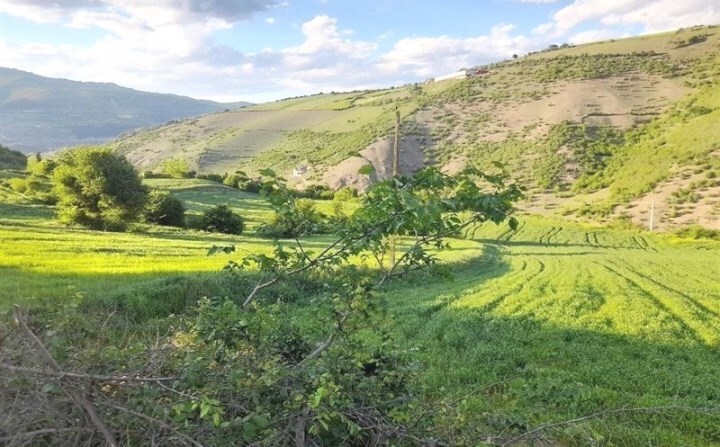 نسیم گیلان