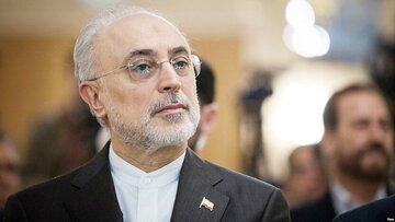 علی‌اکبر صالحی راز غنی‌سازی ۶۰ درصد را فاش کرد