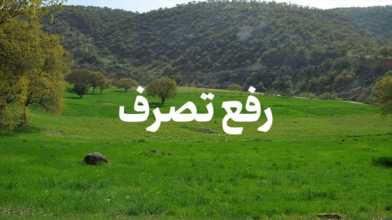 ۵ هکتار از اراضی ساحلی در خشکبیجار رشت رفع تصرف شد