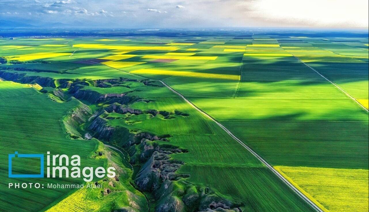 حدود ۱۵۹ هزار هکتار از زمین‌های کشاورزی گیلان سنددار شد