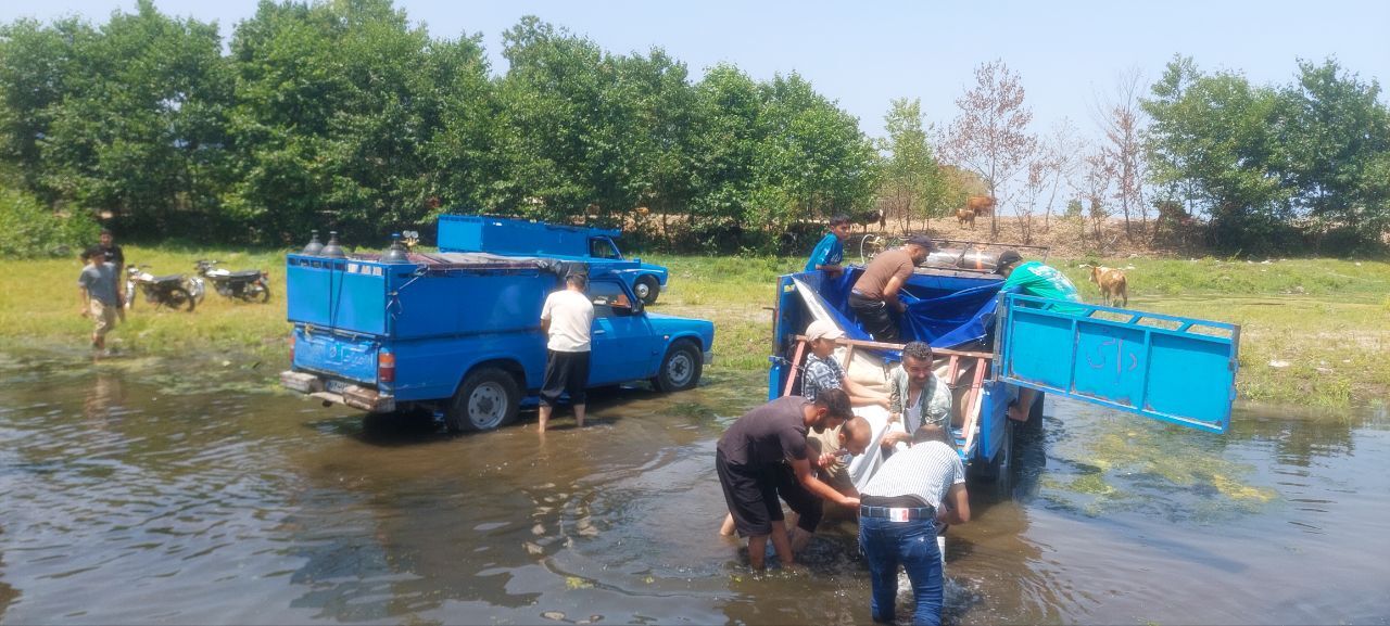 نسیم گیلان