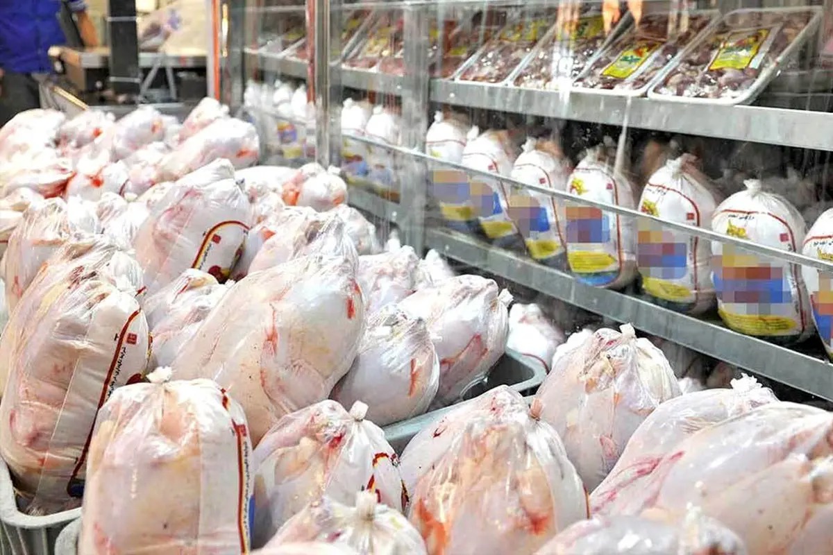 صادرات گوشت مرغ مجاز مشروط شد