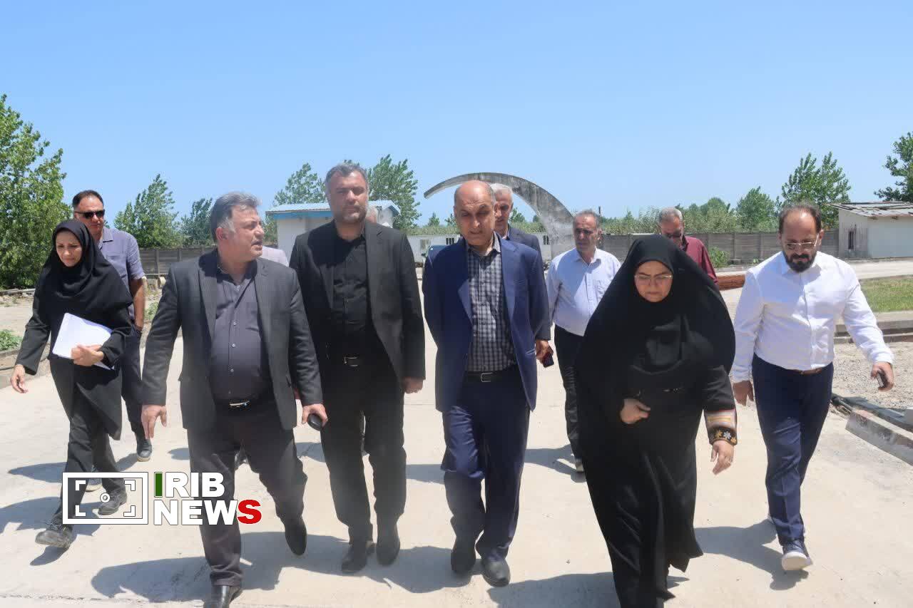 نسیم گیلان