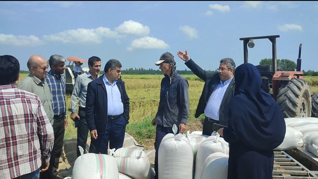 نسیم گیلان
