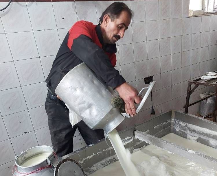 نسیم گیلان