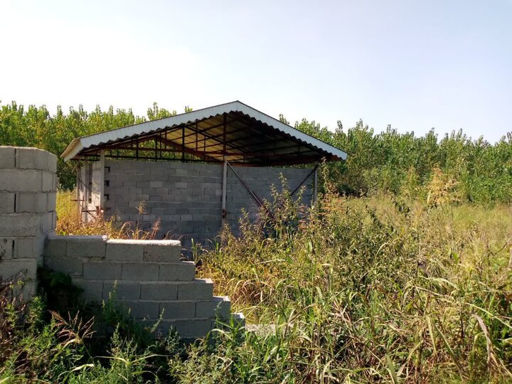 نسیم گیلان