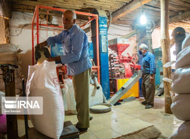 طرح تشدید نظارت بر شالیکوبی‌های گیلان اجرایی شد | آخرین خبر