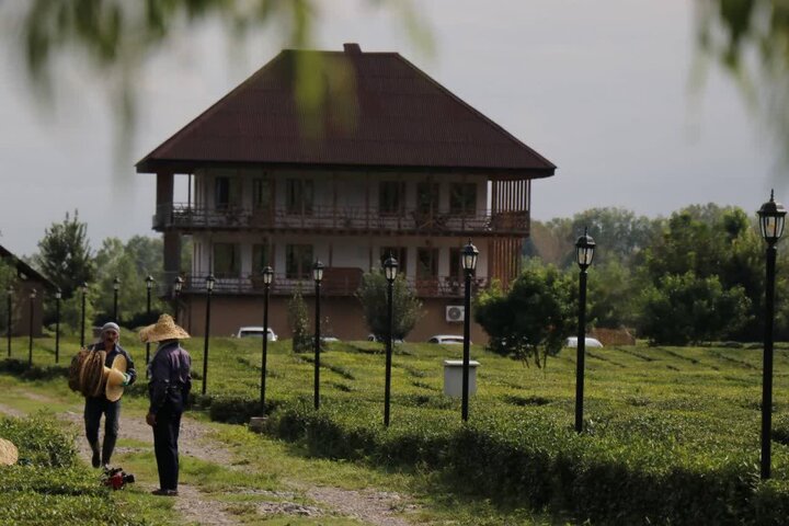نسیم گیلان