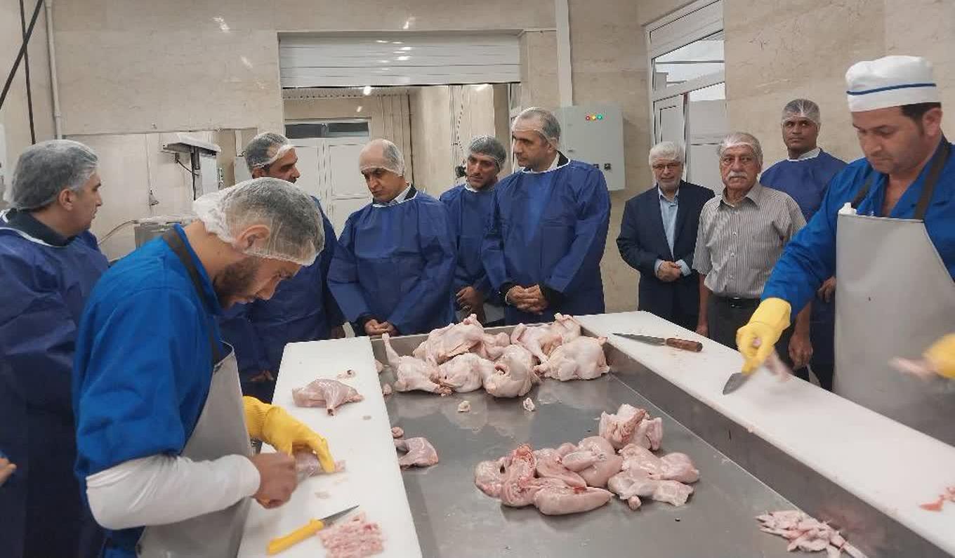 نسیم گیلان