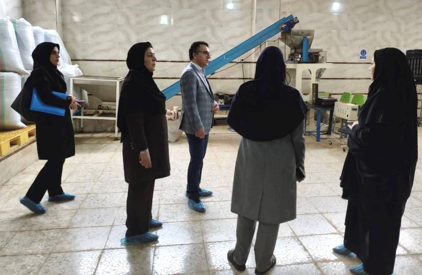 نسیم گیلان