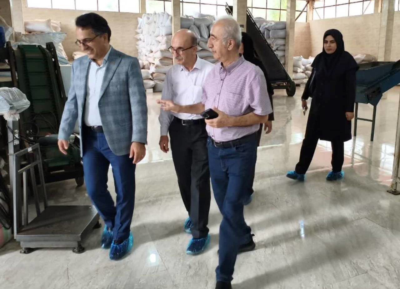 افزایش اعتبار و کیفیت چای تولیدی گیلان با استانداردسازی