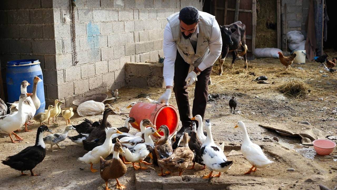 نسیم گیلان