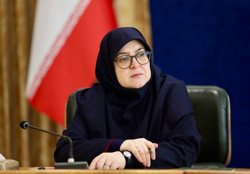 سخنگوی دولت: دولت از پاییز ۱۴۰۳ برای روزهای سخت آماده شده بود