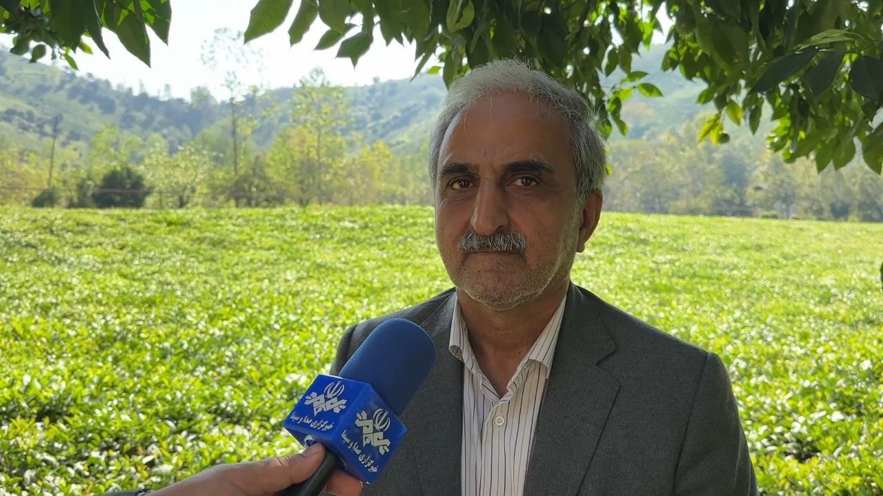 نسیم گیلان