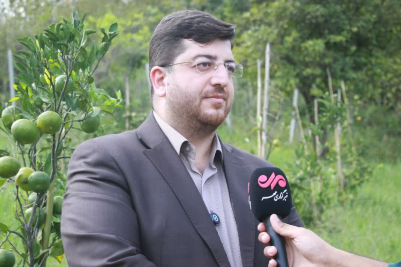 موقوفات لاهیجان در مسیر درآمدزایی پایدار؛ باغ مرکبات به بار نشست