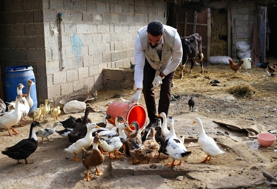 نسیم گیلان
