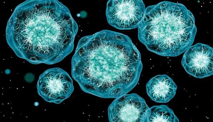 همکاری شگفت‌انگیز گوگل و متا برای ساخت «سلول‌های مجازی»