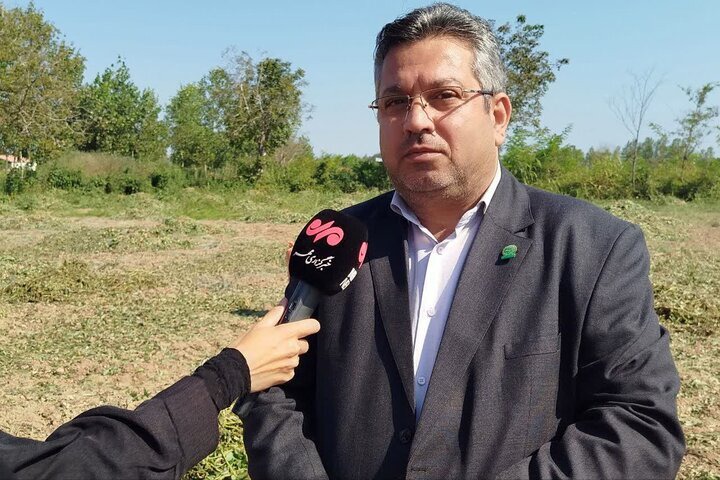 امیرنژاد: پشتیبانی از کشاورزان با طرح «همت» فراهم می شود