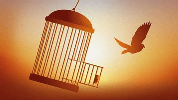آزادی زندانی بوشهری با حفظ قرآن