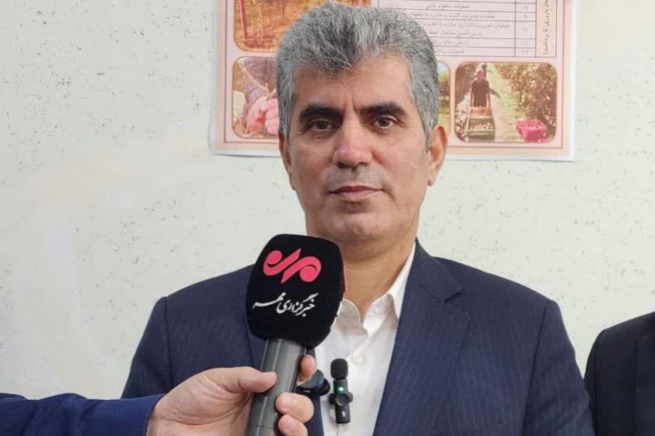 صادرات کیوی گیلان از مرز ۲۷ هزار تُن گذشت
