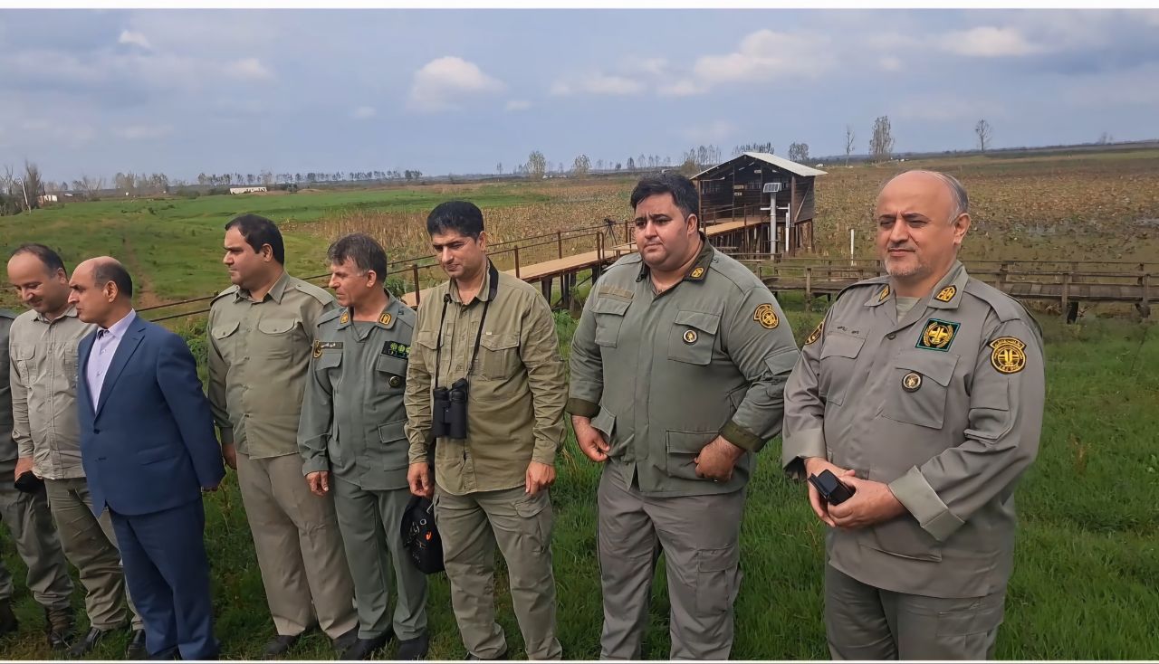 نسیم گیلان